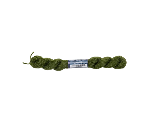 Dill - Planet Earth Wool